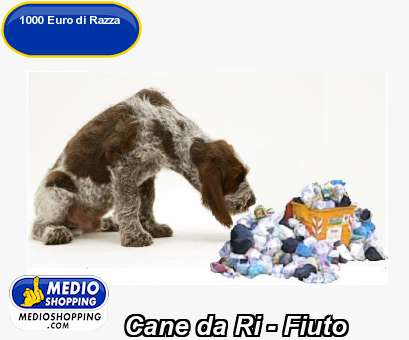 Medioshopping Cane da Ri - Fiuto