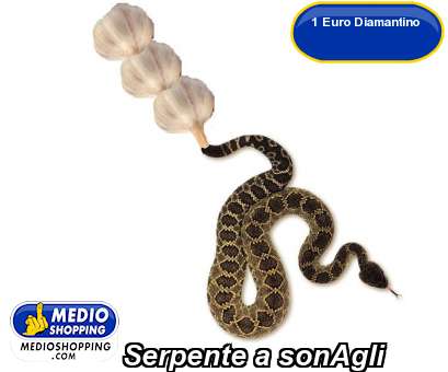 Medioshopping Serpente a sonAgli