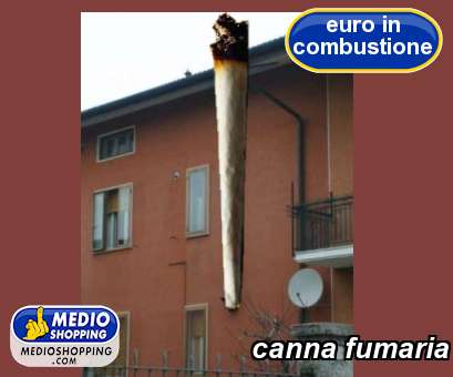 Medioshopping canna fumaria