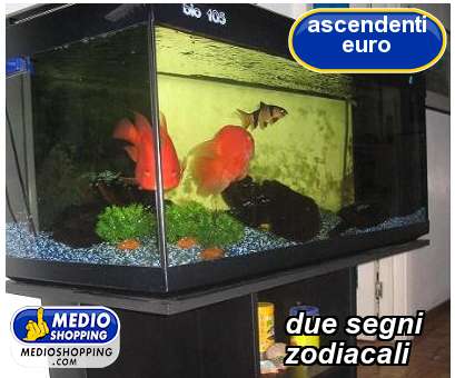 Medioshopping due segni            zodiacali