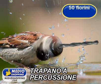 Medioshopping TRAPANO A  PERCUSSIONE