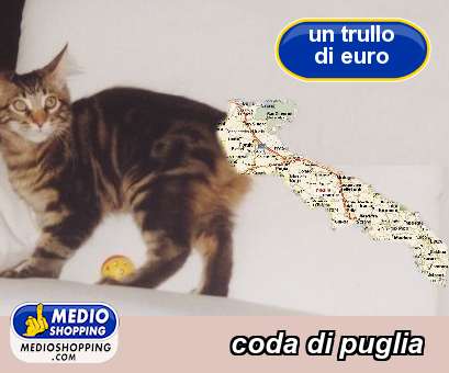 Medioshopping coda di puglia