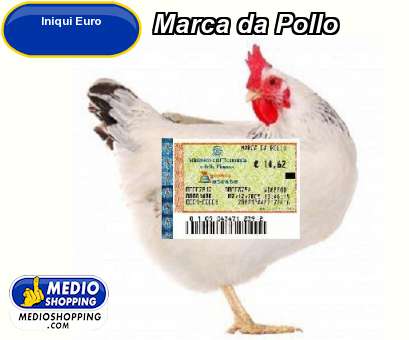 Medioshopping Marca da Pollo