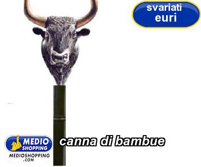 Medioshopping canna di bambue