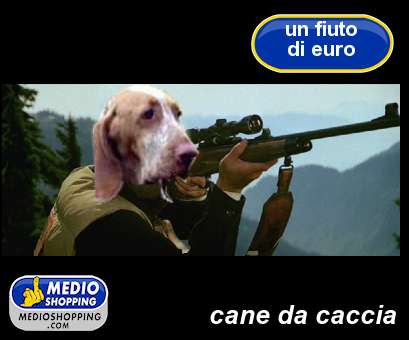 Medioshopping cane da caccia