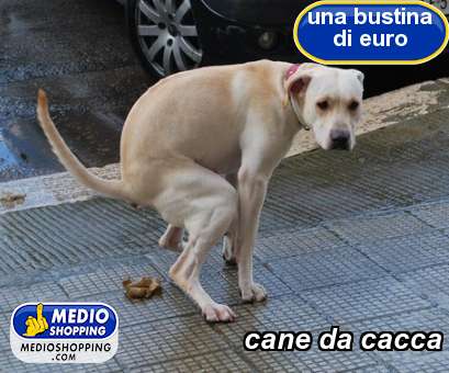 Medioshopping cane da cacca