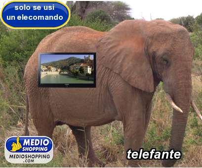 Medioshopping telefante