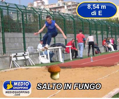 Medioshopping SALTO IN FUNGO