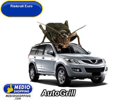 Medioshopping AutoGrill