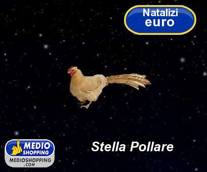 Stella Pollare