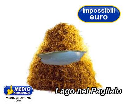 Medioshopping Lago nel Pagliaio