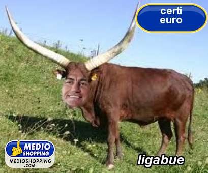 Medioshopping ligabue