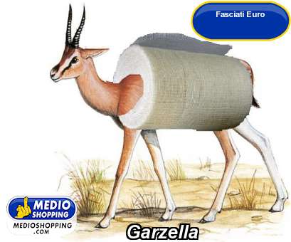 Garzella