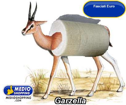 Medioshopping Garzella