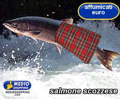 Medioshopping salmone scozzese