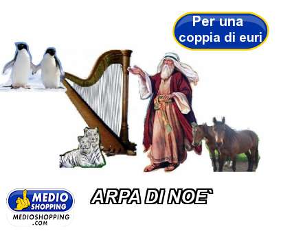 Medioshopping ARPA DI NOE`