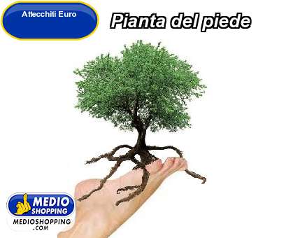Medioshopping Pianta del piede