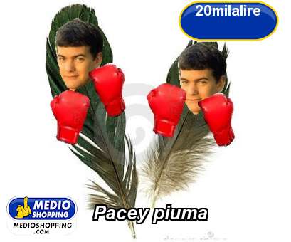 Pacey piuma