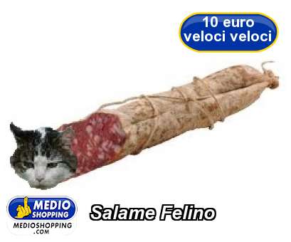 Salame Felino