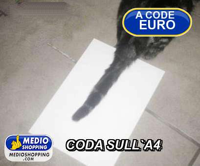 Medioshopping CODA SULL`A4