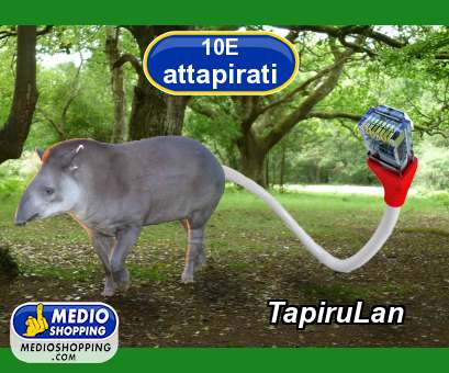 TapiruLan
