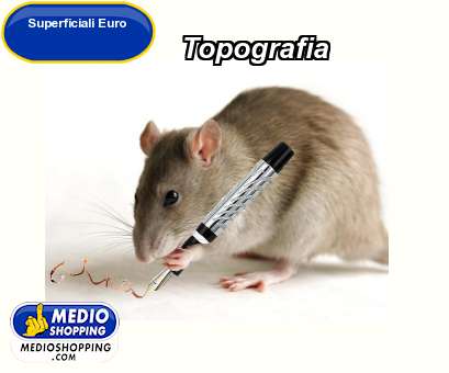 Medioshopping Topografia