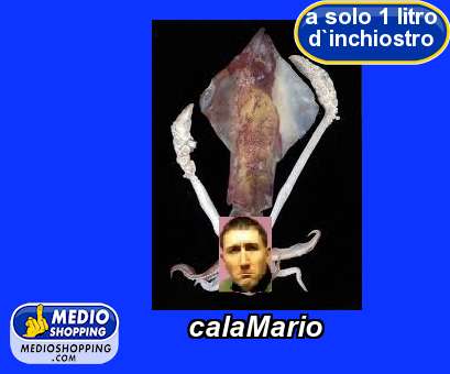 Medioshopping calaMario