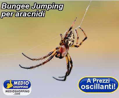 Medioshopping Bungee Jumping per aracnidi