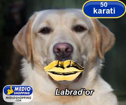 Medioshopping Labrad`or