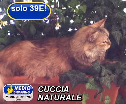 Medioshopping CUCCIA NATURALE