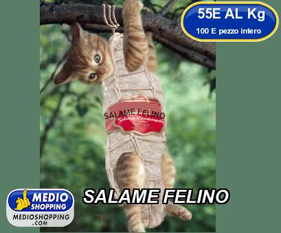 Medioshopping SALAME FELINO