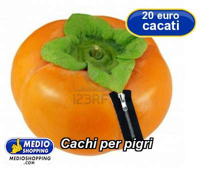 Medioshopping Cachi per pigri