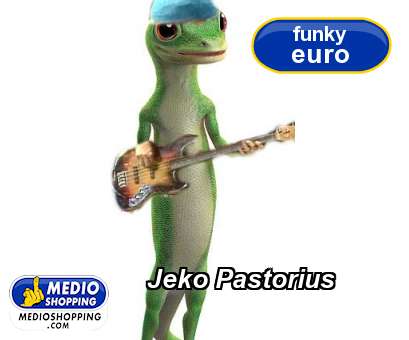 Medioshopping Jeko Pastorius