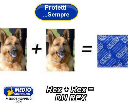 Medioshopping Rex + Rex =         DU REX