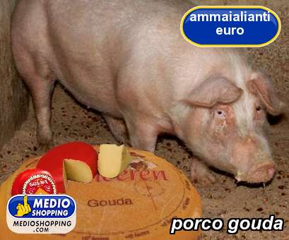 Medioshopping porco gouda