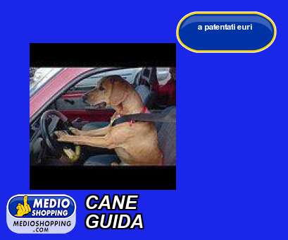 Medioshopping CANE GUIDA