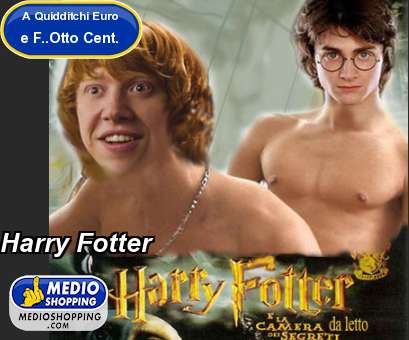 Medioshopping Harry Fotter