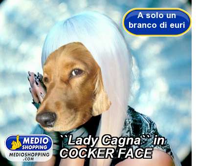 Medioshopping ``Lady Cagna`` in COCKER FACE