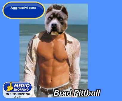 Brad Pittbull