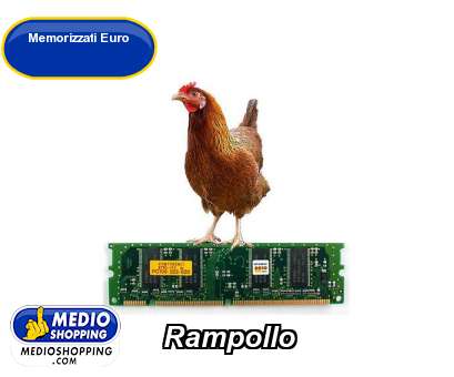 Medioshopping Rampollo