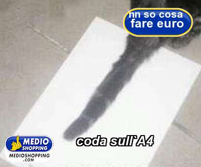 Medioshopping coda sull`A4