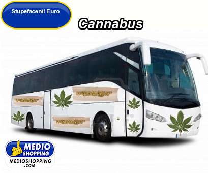 Medioshopping Cannabus