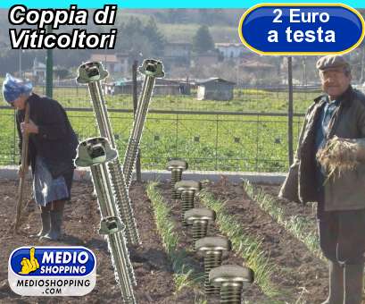 Medioshopping Coppia di Viticoltori