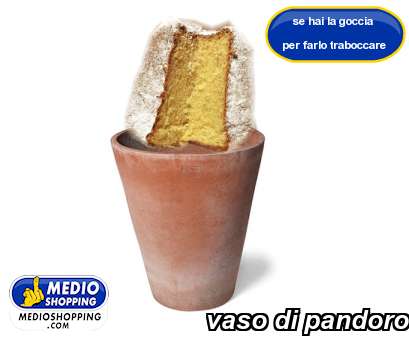 Medioshopping vaso di pandoro