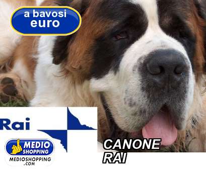 Medioshopping CANONE             RAI