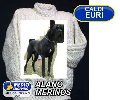 ALANO MERINOS