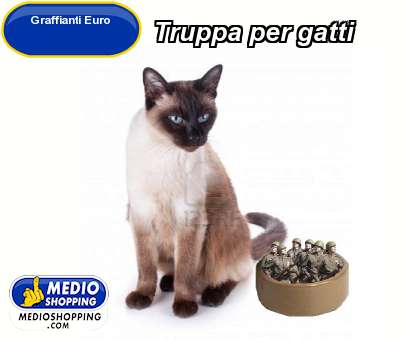 Medioshopping Truppa per gatti