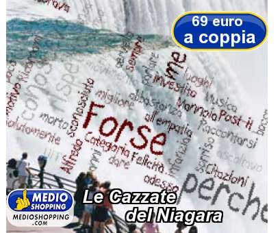 Medioshopping Le Cazzate           del Niagara