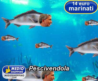 Medioshopping Pescivendola