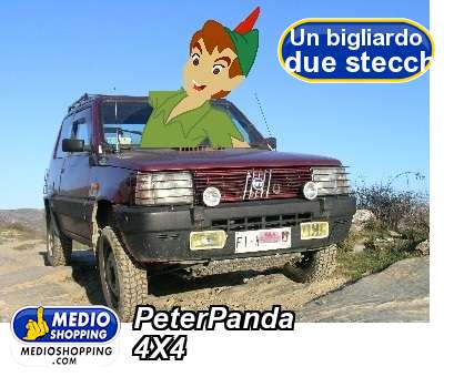 Medioshopping PeterPanda 4X4